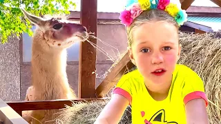 Nastya studies who alpacas are and takes care of animals. Useful video for children