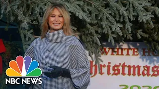 First Lady Melania Trump Receives White House Christmas Tree | NBC News NOW