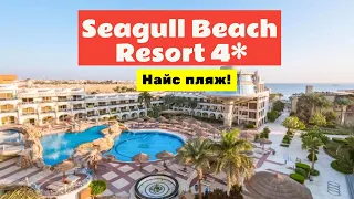 Жили в отеле Seagull beach resort & club 4* Хургада, Египет