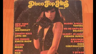 Disco Top Hits Vol 2 ℗ 1980 Phonogram