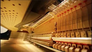 The Fascinating World Inside of a Piano