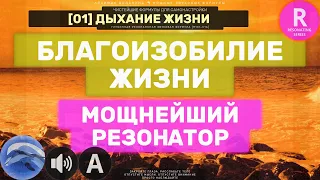 R01🐬 Музыка Благоизобилия Жизни 🔊 Мощнейший Резонатор