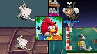 Angry Birds Rio - All Bosses + Cutscenes (Luta dos Bosses)