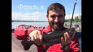 Фарель из терека в центре г Владикавказа .