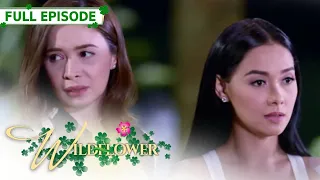 [ENG SUB] Ep 131 | Wildflower | Maja Salvador, Tirso Cruz III, Aiko Melendez