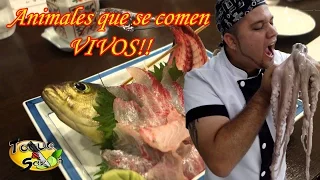 Animales que se comen VIVOS ¡¡Insólito!! (TOQUE Y SAZÓN)