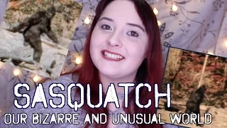 Sasquatch 👣 || Our Bizarre & Unusual World Ep: 1