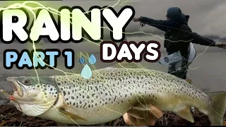 FAT SUMMER TROUT ON FLY ! Regen bringt Forelle