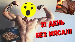 21 ДЕНЬ БЕЗ МЯСА!!! И КАКОЙ ПРОГРЕСС!!! НЕВА 33. *эксперимент*