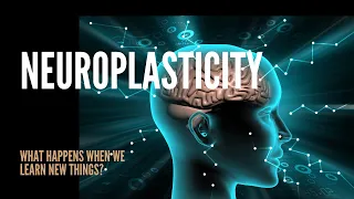 The Power of Neuroplasticity: What We Didn't Know