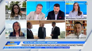 Τετ α τετ Μητσοτάκη – Ερντογάν – Το σχόλιο του Αλέξανδρου Δεσποτόπουλου | OPEN TV
