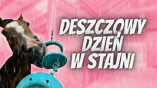 DESZCZOWY DZIEŃ W STAJNI 💗 ARON BAWI SIĘ NOWĄ ZABAWKĄ, TESTUJĘ ODKURZACZ DO SIERŚCI 🧸