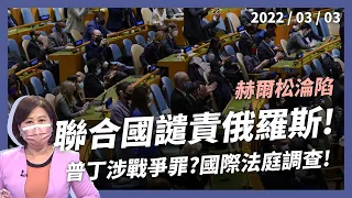 聯合國決議 俄羅斯立刻停火撤軍！國際法庭調查！（公共電視 - 有話好說）