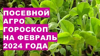 Посевной агрогороскоп на февраль 2024 года Sowing agrohoroscope for February 2024