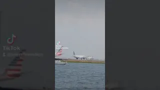 pássaro entra na frente do avião (perigo)