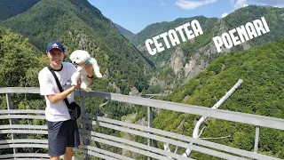 Dupa ce a urcat 1500 de scari, Maxy a explorat Cetatea Poenari