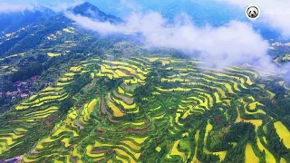 Qianhu Miao Village, Xijiang, Guizhou 03