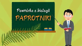 Paprotniki - biologia zakres rozszerzony klasa 1 lo