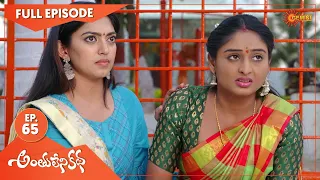 Anthulenikatha - Ep 65 | 23 April 2021 | Gemini TV Serial | Telugu Serial