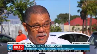 Stabbings and gang fights are the norm at schools on the Cape Flats