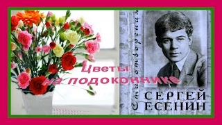 ♫♥ Цветы на подоконнике Т Отрадных на стихи С Есенина ♥♫