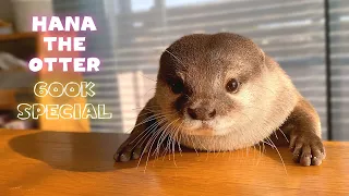 Introducing Hana the Cutest Otter (600K SUB SPECIAL)