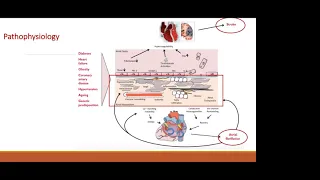 Atrial fibrillation/Flutter - Dr. Mohamed Hassan