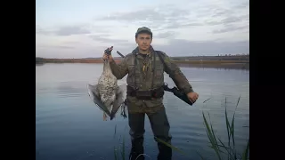 Охота на утку и гуся Лучшие моменты 2017 The best hunting moments of the 2017 season