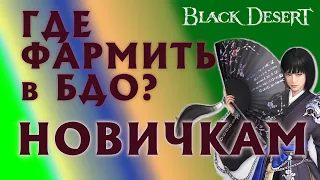 БДО - ГДЕ ФАРМИТЬ НОВИЧКАМ - СЕЗОН - ВАЛЕНСИЯ - BDO - Black Desert Online