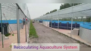 Aquaculture System tank Fish Farming Tank