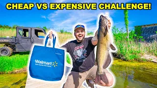 CHEAP vs EXPENSIVE Walmart Fishing CHALLENGE!!! (Catch Clean Cook)