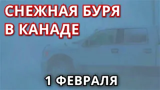 Снег в Канаде 1 февраля! Ужасная снежная буря обрушилась Саскачеван!