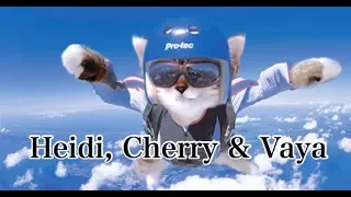 Fun Bedtime Story For Kids | Heidi Cherry & Vaya Skydive