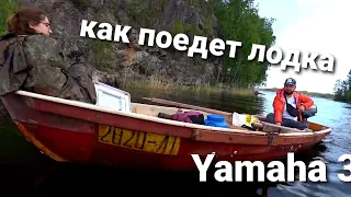 До какой скорости  разгонит Yamaha 3 лодку Пелла.