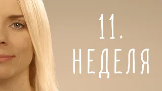 11. неделя беременности