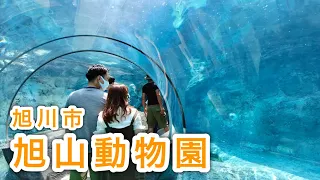 【散歩】旭山動物園（北海道旭川市）　very popular, unique zoological garden in Japan