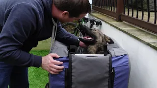 Testing the PawHut Pet Bicycle Trailer with my German Shepard Dog