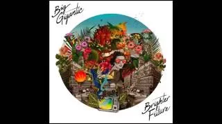 Big Gigantic - Got The Love (ft. Jennifer Hartswick)