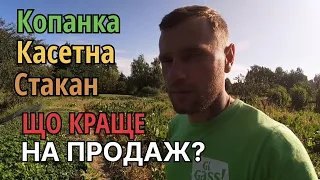 Який ВИД розсади полуниці ЗАРОБЛЯЄ НАЙБІЛЬШЕ ГРОШЕЙ?Вирощування КОПАНОЇ розсади ПОЛУНИЦІ