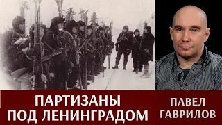 Павел Гаврилов. Партизаны под Ленинградом