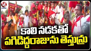 Devotees Take Pagididda Raju To Medaram By Walk | Sammakka Sarakka Jatara 2024 | V6 News