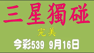 【539羅盤】9月16日 上期中09 12 18 今彩539 三星獨碰