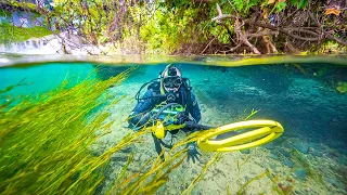 Treasure Hunting The CLEAREST Water In Major City!!! (found ring!)