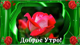 Доброе Утро! Пусть с Рассветом к Тебе в дом Счастье Постучится!☀️💌🌺🌺🌺.