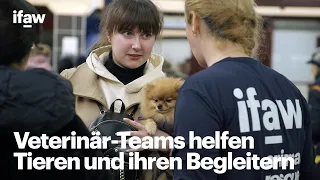 IFAW Tierärztin, Veronika Herasymenko | Hilft ukrainischen Flüchtlingen und ihren Haustieren