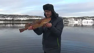 Такого я точно не ожидал! Рыбалка в Норвегии ЗИМОЙ!! рыбалка на спиннинг, ТРЕСКА. Норвегия, Рыбалка.