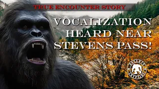 Vocalization Heard Near Stevens Pass!   [EP-209]