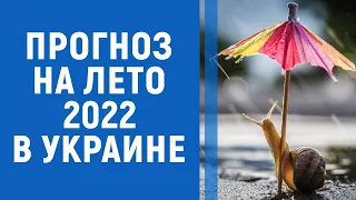 Каким будет лето 2022 года: прогноз погоды на три месяца