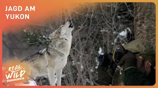 Jagd am Yukon: Extremes Klima, Extremes Leben | Real Wild Deutschland