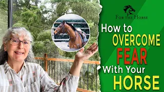 How To Overcome Fear With Your Horse I Fear With Your Horse